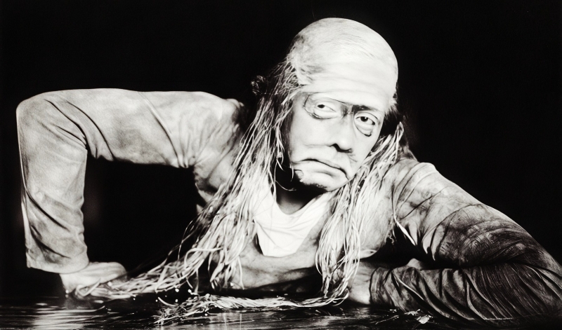 Veliki zagrebački tumač Vodenjaka Josip Križaj