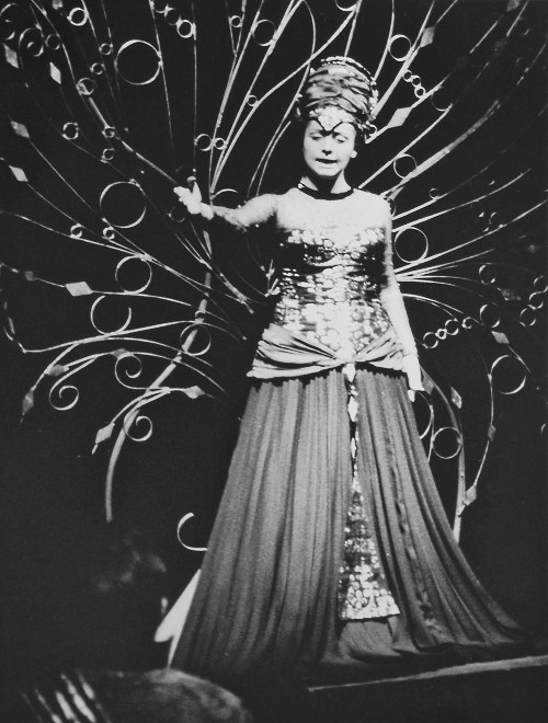 Mira Vlahović (Kraljica noći), W. A. Mozzart, <em>Čarobna frula</em>, HNK u Zagrebu, debi 29. listopada 1981.